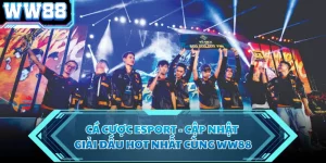 Cá Cược Esport - Cập Nhật Giải Đấu Hot Nhất Cùng WW88 