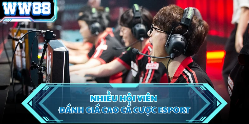 Nhiều hội viên đánh giá cao cá cược esport