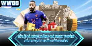 Tỷ Lệ Cá Cược Bóng Đá Trực Tuyến - Cách Đọc Chuẩn Từng Kèo