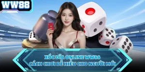 Xóc Đĩa Online WW88 - Cách Chơi Dễ Hiểu Cho Người Mới 
